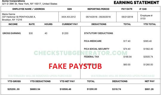 fake paystubs