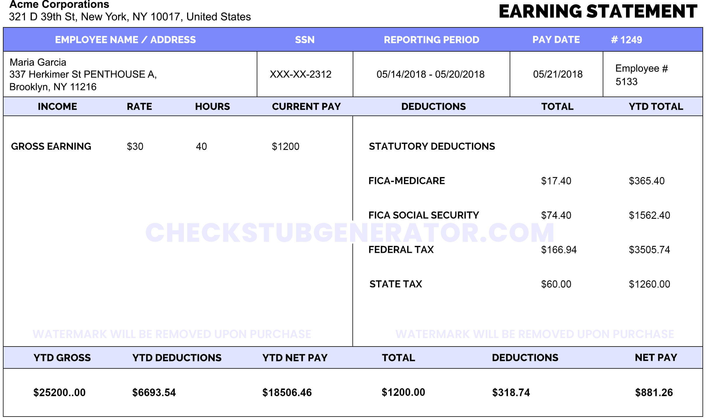 1099 Independent Contractor Pay Stub Template